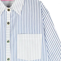 BURU Pink Label BURU X Megan Stokes Boyfriend Shirtdress - Blue Stripe Clothing