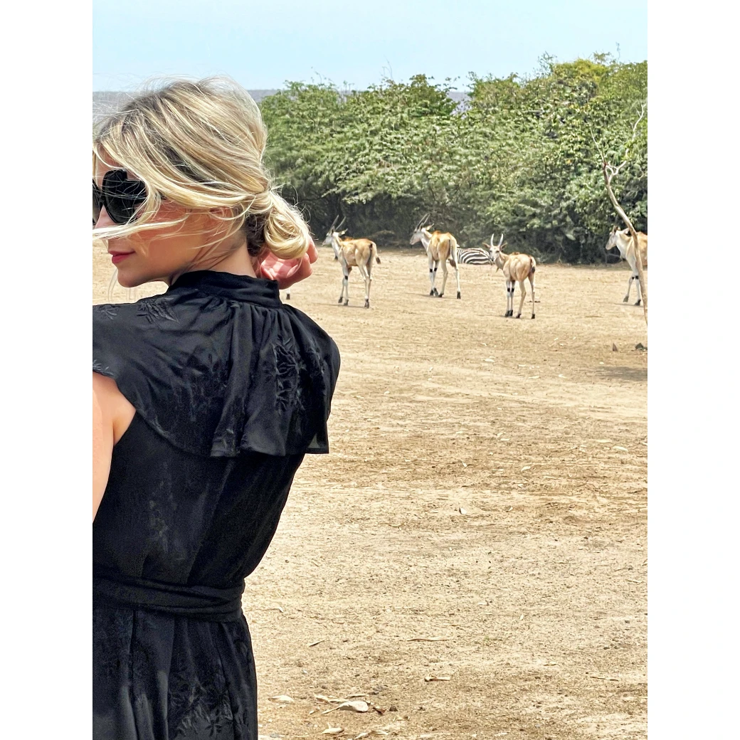 BURU Pink Label Clothing Ruffle Collar Midi Dress - Black Embroidery 13 BURU Pink Label Clothing Ruffle Collar Midi Dress - Black Embroidery