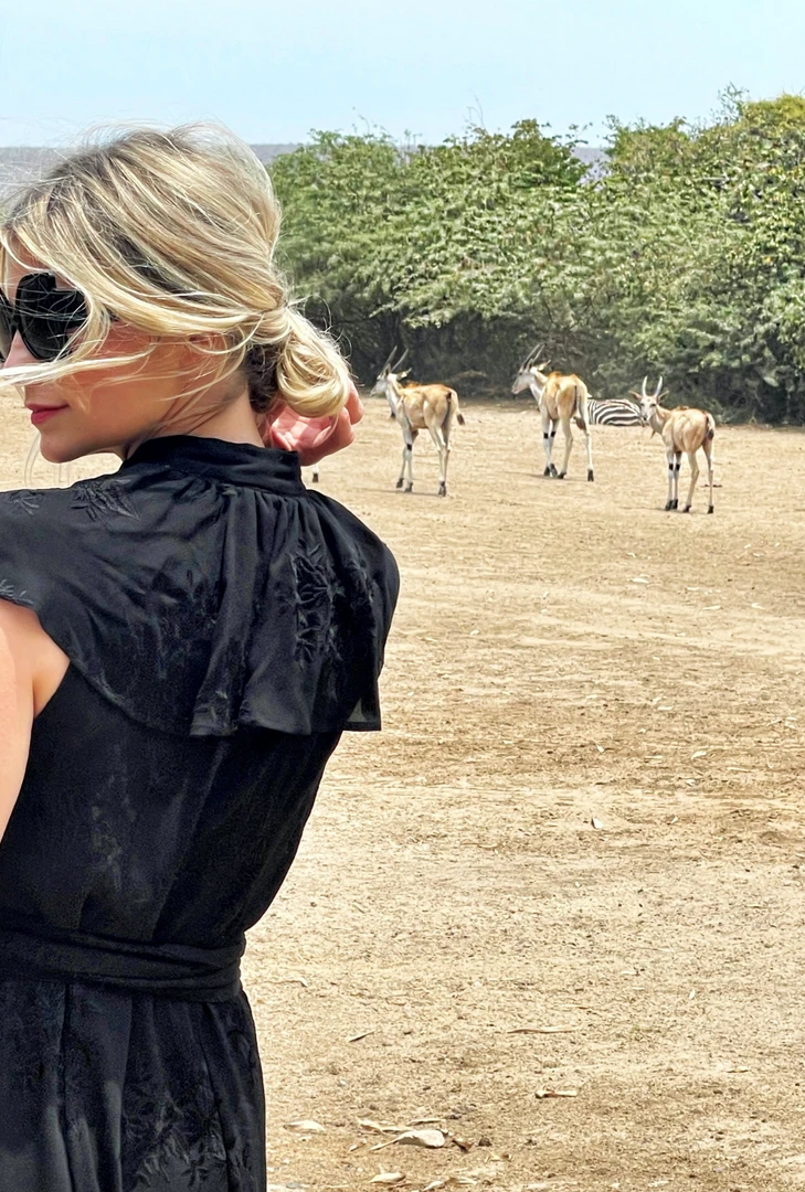 BURU Pink Label Clothing Ruffle Collar Midi Dress - Black Embroidery 6 BURU Pink Label Clothing Ruffle Collar Midi Dress - Black Embroidery